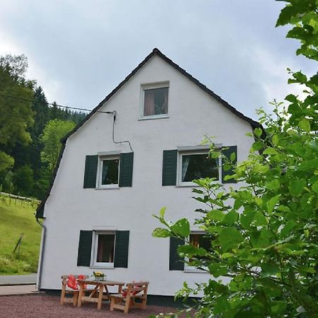 Haus Elpe Naehe Meschede Winterberg Villa Olsberg Dış mekan fotoğraf