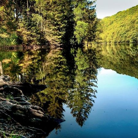 Haus Elpe Naehe Meschede Winterberg Villa Olsberg Dış mekan fotoğraf