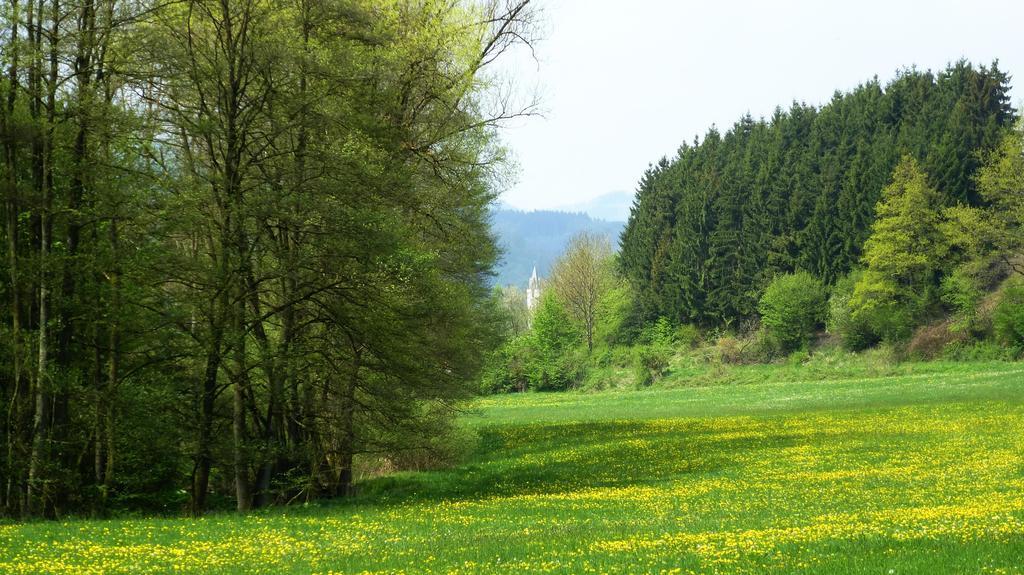 Haus Elpe Naehe Meschede Winterberg Villa Olsberg Oda fotoğraf