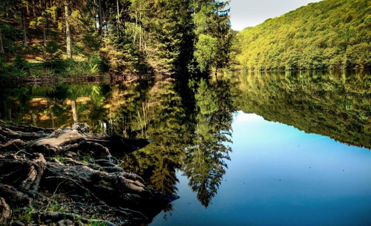 Haus Elpe Naehe Meschede Winterberg Villa Olsberg Dış mekan fotoğraf