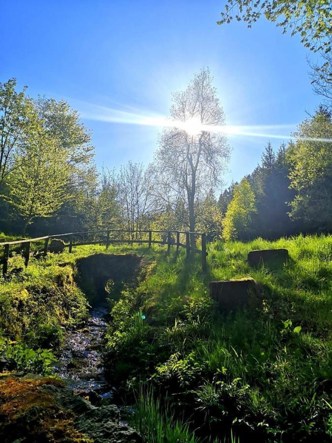 Haus Elpe Naehe Meschede Winterberg Villa Olsberg Dış mekan fotoğraf